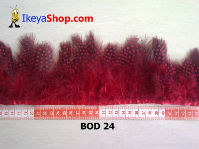 BOD 24  large2
